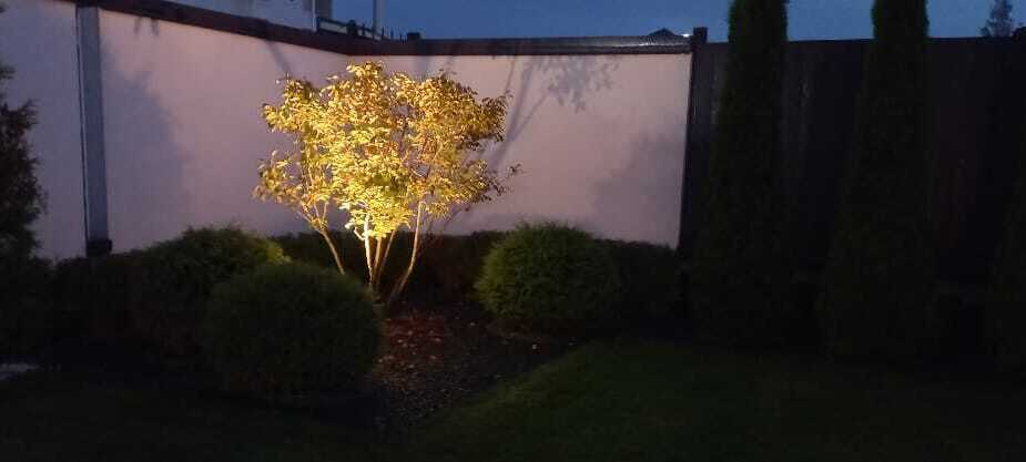  ОСВЕЩЕНИЕ ТЕРРИТОРИИ подсветка растений подсветка фасадов